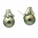 Ada Diamond 18K Tahitian Black Pearl Earrings