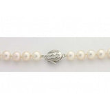 Lorelei Akoya Pearl Necklace