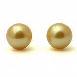 Akoya Golden Studs 14K Pearl Stud Earrings