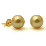 Akoya Golden Studs 14K Pearl Stud Earrings