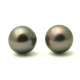 Akoya Black Studs 14K Pearl Stud Earrings