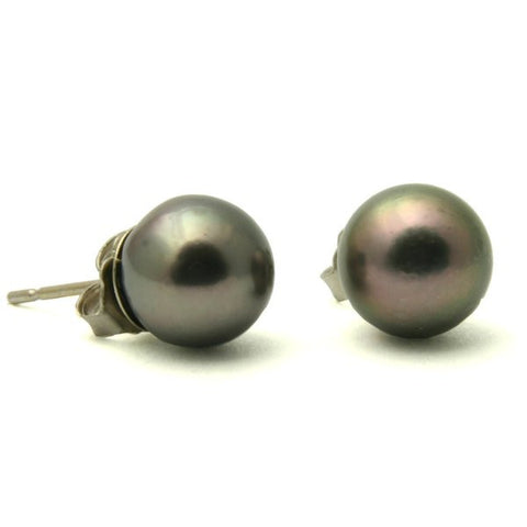 Akoya Black Studs 14K Pearl Stud Earrings